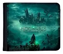      Hogwarts Legacy