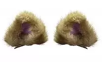       ( )