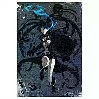      / Black Rock Shooter ( A3, 252 )