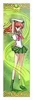    Bishoujo Senshi Sailor Moon