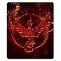     Pokemon Go Team Valor Logo