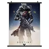   Destiny Titan