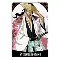 ������ ��������� ������������� ���� No.28