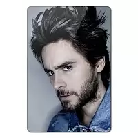      30 Seconds to Mars / 30    354050