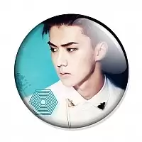 ������ EXO SeHun