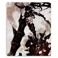    Black Rock Shooter 308231
