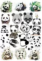 �������� �����