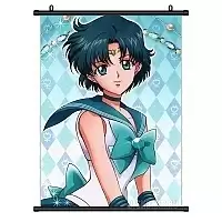   Sailor Mercury Guardian of Wisdom