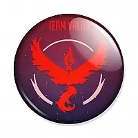 Pokemon GO - Team Valor