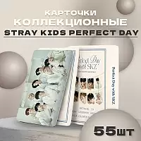   Stray Kids  Perfect Day 55 