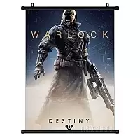   Destiny Warlock