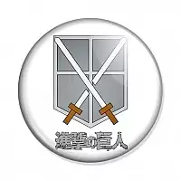    - 104th Cadet Corps logo