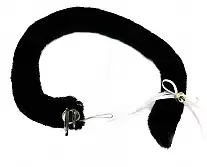 ����� Anime ������ � ����������