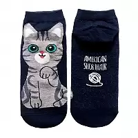 ����� The �at - American Shorthair