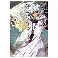  D.Gray-man ( A3, 252 ) 66997