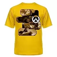  Overwatch Heroes and Assassins