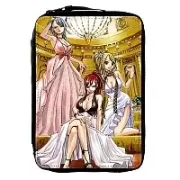     Fairy Tail /  