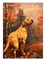 ������ �������� ��������-�������� / ������