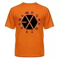  EXO 315156