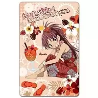 ������ ��������� ������������� Puella Magi Madoka Magica Kyoko Sakura