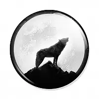  Teen Wolf Moon and Wolf