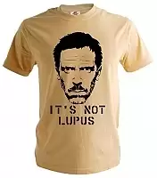  House M.D.: It's not Lupus