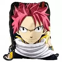    Fairy Tail 302295