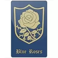    Black Clover - Blue Roses Squad