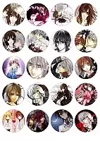   Vampire Knight