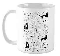  Cats