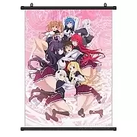   High School DxD HERO