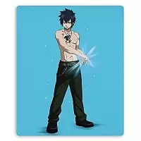    Fairy Tail 34931