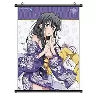   My Teen Romantic Comedy SNAFU Yukino Yukinoshita