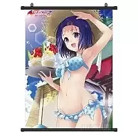   To Love-Ru Darkness - Haruna Beach House Ver.