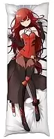    Elsword - 