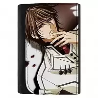   Vampire Knight 331118