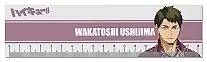  (18) Haikyu!! To The Top - Ushijima Wakatoshi