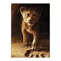   The Lion King Movie - Simba