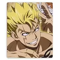    Fairy Tail 310057