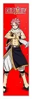    Fairy Tail Natsu Dragneel