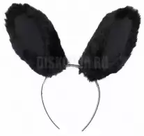        ( )