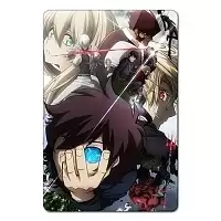 ������ ��������� ������������� Kekkai Sensen 350091