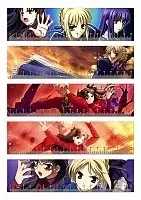   Fate No.2