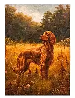 ������ �������� ���������� ������� ������ / ������