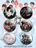    Stray Kids No.1