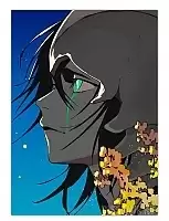    - Ulquiorra Cifer