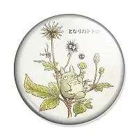  My Neighbor Totoro Summer