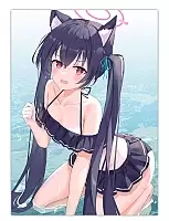 ������ �������� ����� ����� / ������ ������