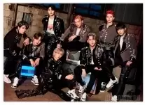   - Stray Kids