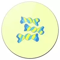    My Little Pony - Bon Bon Logo